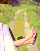 ... alle diese Bereich bieten WIR f&uuml;r Sie,...